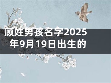 顾姓男孩名字2025年9月19日出生的