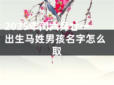 2025年闰六月廿一出生马姓男孩名字怎么取
