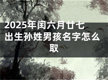 2025年闰六月廿七出生孙姓男孩名字怎么取