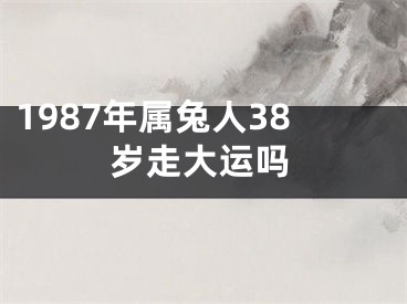 1987年属兔人38岁走大运吗