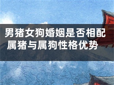 男猪女狗婚姻是否相配 属猪与属狗性格优势