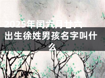 2025年闰六月廿六出生徐姓男孩名字叫什么