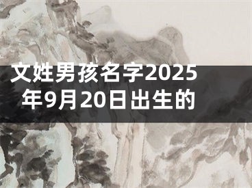 文姓男孩名字2025年9月20日出生的