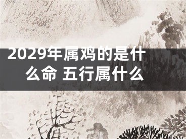 2029年属鸡的是什么命 五行属什么