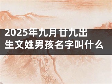 2025年九月廿九出生文姓男孩名字叫什么