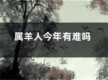 属羊人今年有难吗