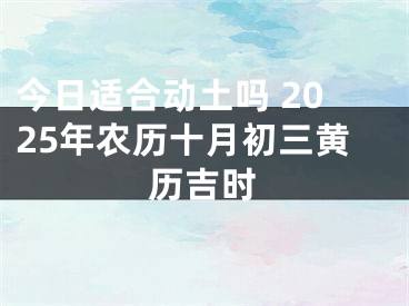 今日适合动土吗 2025年农历十月初三黄历吉时