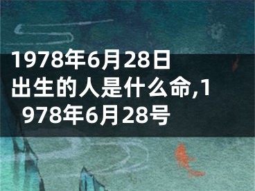 1978年6月28日出生的人是什么命,1978年6月28号