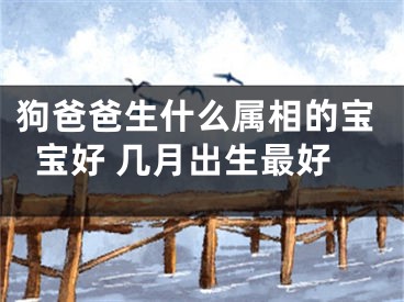 狗爸爸生什么属相的宝宝好 几月出生最好