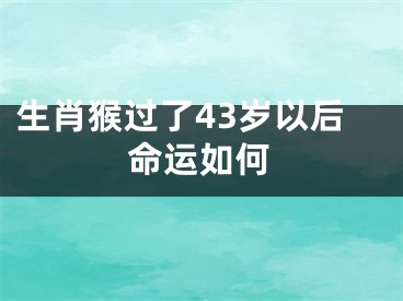 生肖猴过了43岁以后命运如何