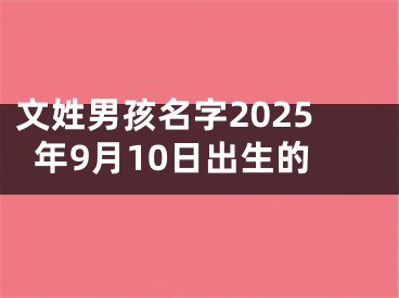 文姓男孩名字2025年9月10日出生的