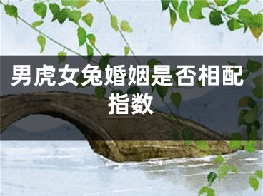 男虎女兔婚姻是否相配指数