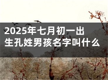 2025年七月初一出生孔姓男孩名字叫什么