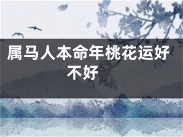 属马人本命年桃花运好不好 