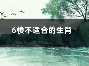 6楼不适合的生肖