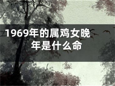 1969年的属鸡女晚年是什么命