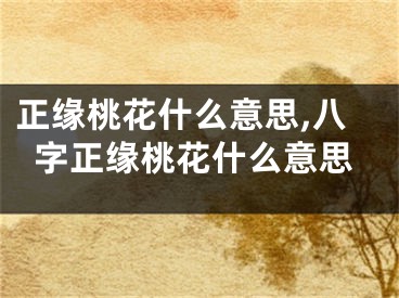 正缘桃花什么意思,八字正缘桃花什么意思