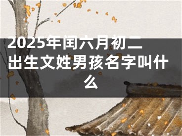 2025年闰六月初二出生文姓男孩名字叫什么
