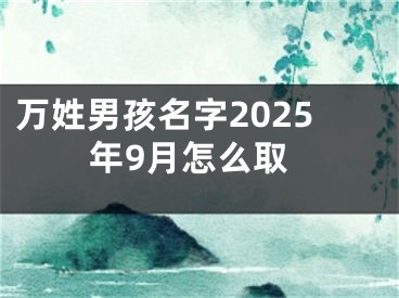 万姓男孩名字2025年9月怎么取
