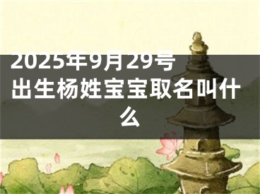 2025年9月29号出生杨姓宝宝取名叫什么