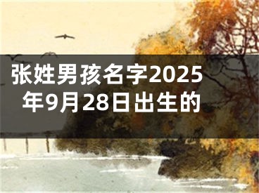 张姓男孩名字2025年9月28日出生的