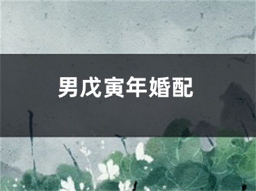 男戊寅年婚配