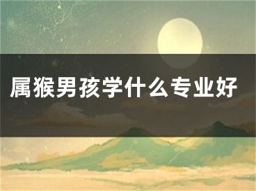 属猴男孩学什么专业好