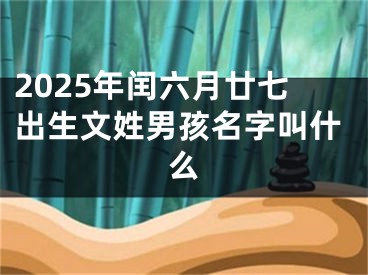 2025年闰六月廿七出生文姓男孩名字叫什么