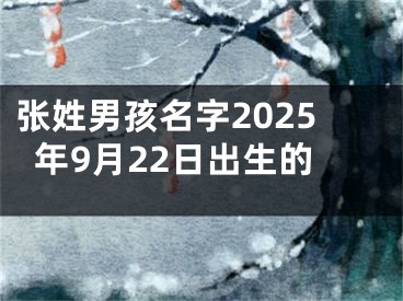 张姓男孩名字2025年9月22日出生的
