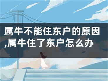 属牛不能住东户的原因,属牛住了东户怎么办