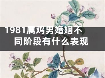 1981属鸡男婚姻不同阶段有什么表现