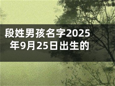 段姓男孩名字2025年9月25日出生的