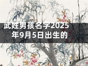 武姓男孩名字2025年9月5日出生的