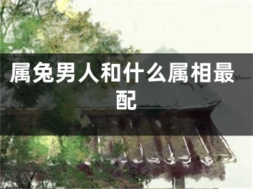 属兔男人和什么属相最配