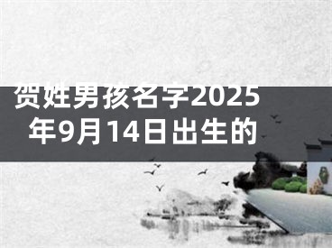 贺姓男孩名字2025年9月14日出生的