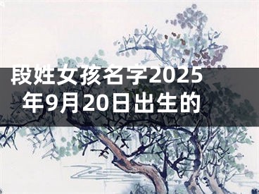 段姓女孩名字2025年9月20日出生的