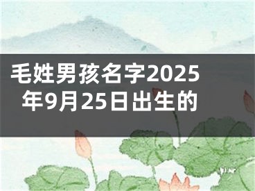 毛姓男孩名字2025年9月25日出生的