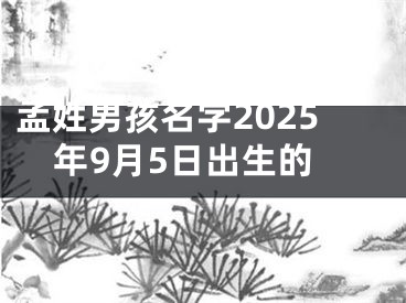 孟姓男孩名字2025年9月5日出生的