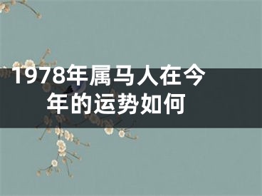 1978年属马人在今年的运势如何 