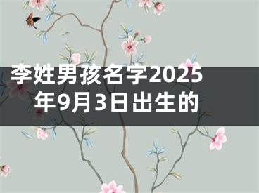 李姓男孩名字2025年9月3日出生的