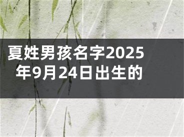 夏姓男孩名字2025年9月24日出生的