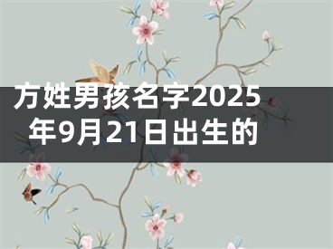 方姓男孩名字2025年9月21日出生的