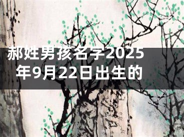 郝姓男孩名字2025年9月22日出生的