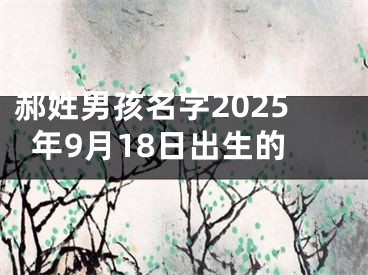 郝姓男孩名字2025年9月18日出生的