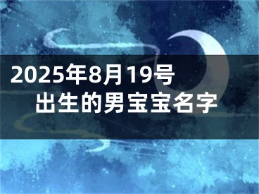 2025年8月19号出生的男宝宝名字