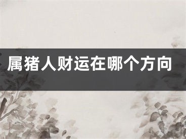 属猪人财运在哪个方向