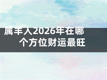 属羊人2026年在哪个方位财运最旺