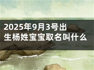 2025年9月3号出生杨姓宝宝取名叫什么