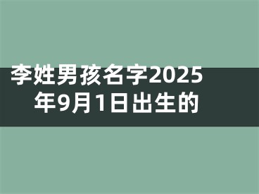 李姓男孩名字2025年9月1日出生的