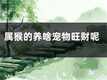 属猴的养啥宠物旺财呢